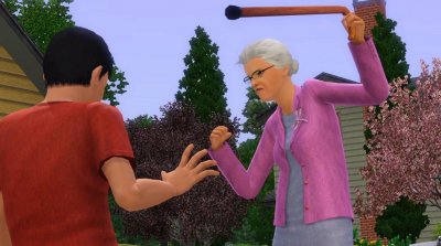 The Sims 3: Generations (Все возрасты)